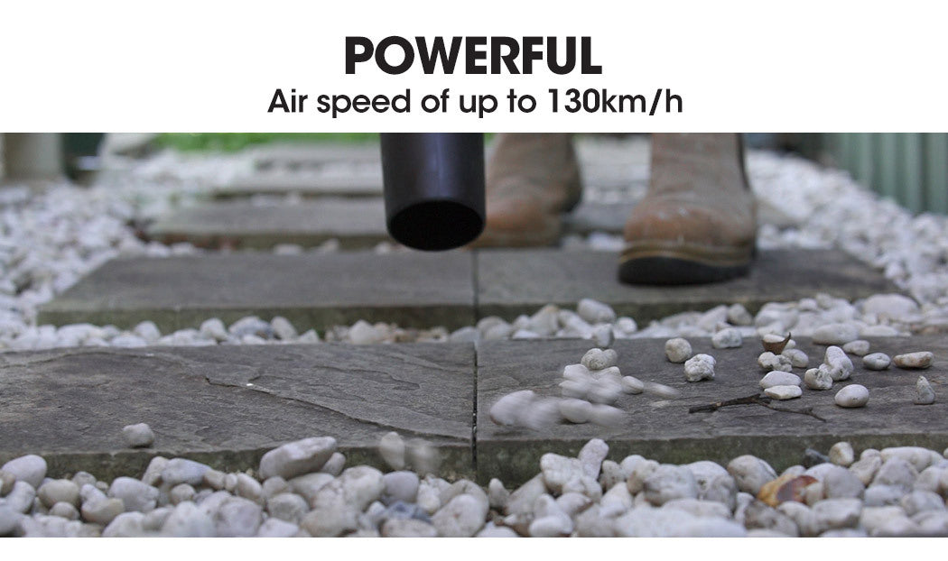 Baumr-AG 20V Lithium Cordless Leaf Blower