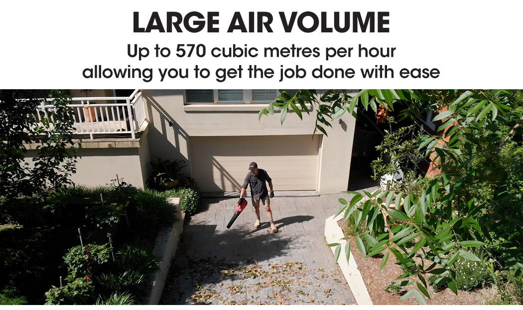 Baumr-AG 20V Lithium Cordless Leaf Blower
