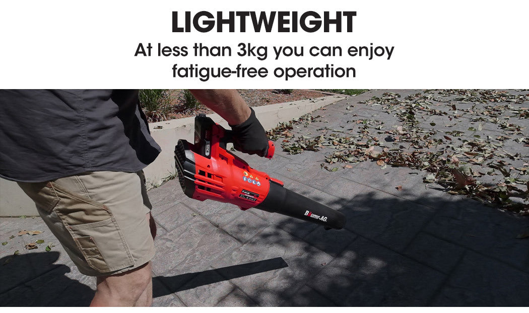 Baumr-AG 20V Lithium Cordless Leaf Blower