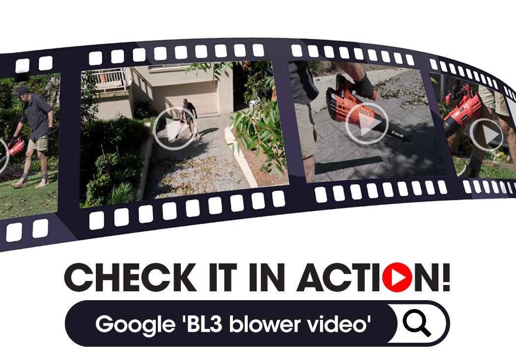 Baumr-AG 20V Lithium Cordless Leaf Blower
